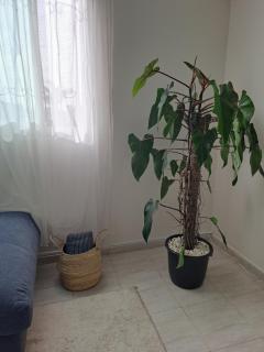 iris appart vue dégagée, bon emplacement - 8