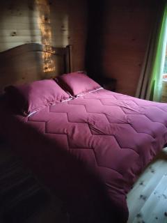 Cabañas mountain Native forest - 3