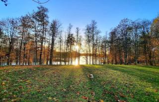 Comfy house by the lake in nature park - 8