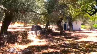 Cozy Crete Villa Sea Views Steps to Beach - 7