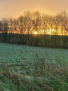 The Lodge - Elegant Peaceful Countryside Escape - 6