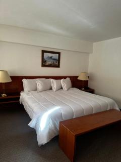 Park Hotel Mérida - Mérida - 6