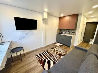 Комфортная современная студия в центре - 1