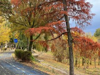 Decebal Relax Room - 7