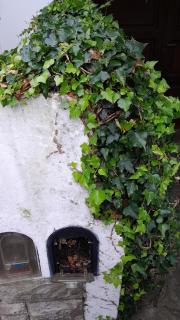 Depto 4 cuadras mar - 1