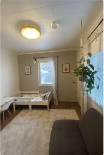 Villa Lehtola near SantaClaus village - 1