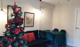 Amazing Apartment at Christmas Time - 8