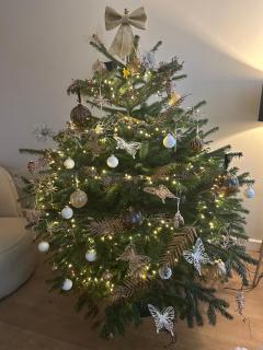 Beautiful entire house in the center - 8