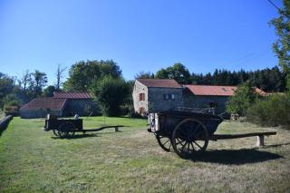 Chambres d'hôtes - Les Fayards - 4