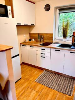 Solina domki-„Solińskie wzgórze” - 7