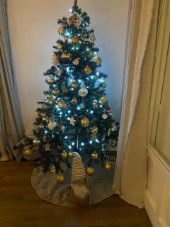 Gite de la Plaine - 9