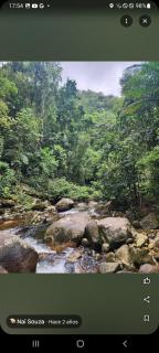 De la rosa y el canto de los pájaros - 1