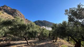 Casería 7 Fuentes - Casa Hotel - 3