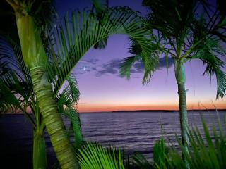 A slice of paradise - 8