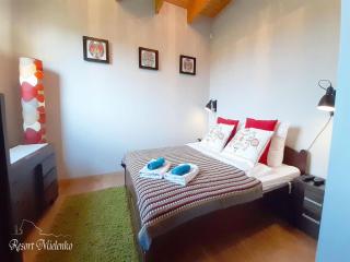 Holiday home with garden, sauna, jacuzzi - 6