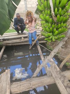 Meleji Studio House - 7