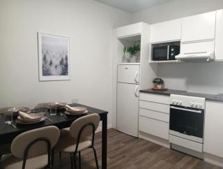 Rovaniemi Spacious Central Studio for 4 - 5