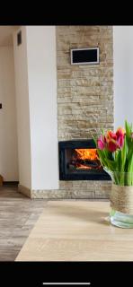 Solina domki-„Solińskie wzgórze” - 3