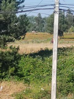 Descansa en la naturaleza , céntrico - 3