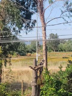 Descansa en la naturaleza , céntrico - 1