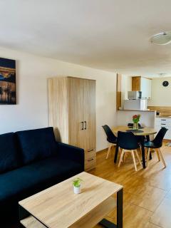 Solina domki-„Solińskie wzgórze” - 1