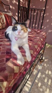 Tilila Holiday Apartments, Agadir - 7