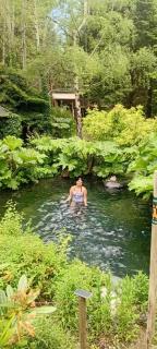 Pucón Magic forest - 1