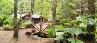 Pucón Magic forest - 2