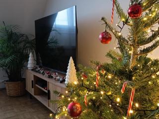 Cocon de Noël à Beauvais T2 Hyper Centre proche Aéroport et Gare SNCF - 9