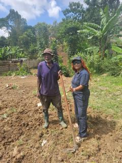 Meleji Studio House - 4