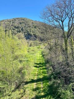 Agréable petite maison rustique - 5