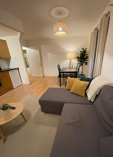 Apartment near 3Arena and Dublin Port - 8