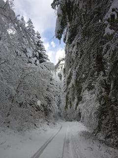 In the heart of nature with an unique view - 5