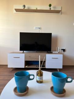 Vojvoda Apartment - 9