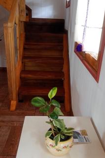 Cabaña zona residencial - Aeropuerto - 5