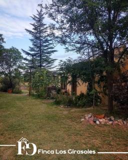 Hospedaje Los Girasoles - 2