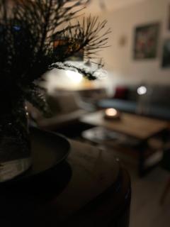 Art gallery near Pardubice - 8