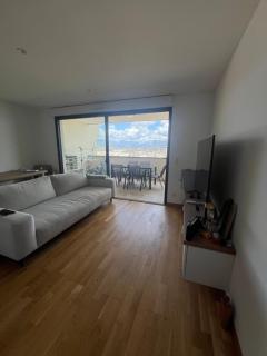 T2 avec vue panoramique - 3