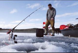 Family Friendly Home Cozy Charming near Trails & Live Music - 8