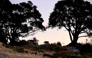 Medlands Retreat with Breathtaking Views - 8