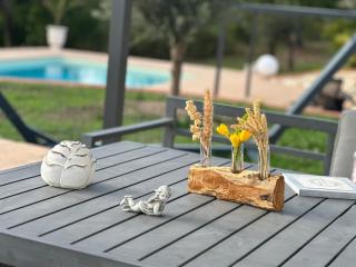 Domaine de pierre blanche - Pern - 9