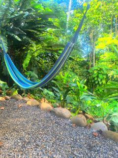 Monstera Forest Lodge - 0