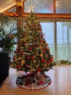 Ferienwohnung Schwarzer Kater - 8