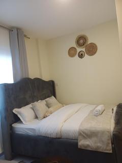 Cozy Lux Studio Apartment near JKIA - 1