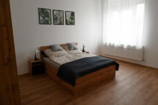 Palatini Apartman - Nyíregyháza - 9