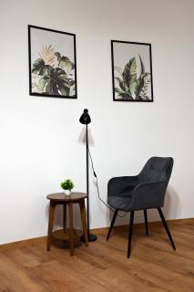 Palatini Apartman - 2