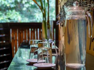 Tambopata Research Center - 2