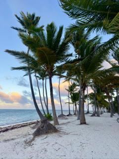 Punta Cana Beach - ONE BEDROOM RENTALS 1 - 4