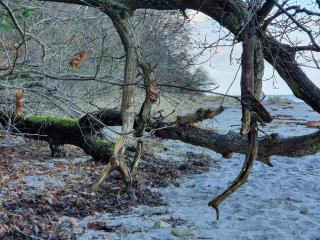 6 person holiday home in Asnæs-By Traum - 5
