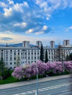 Heart of Sarajevo Center Apartment - 9